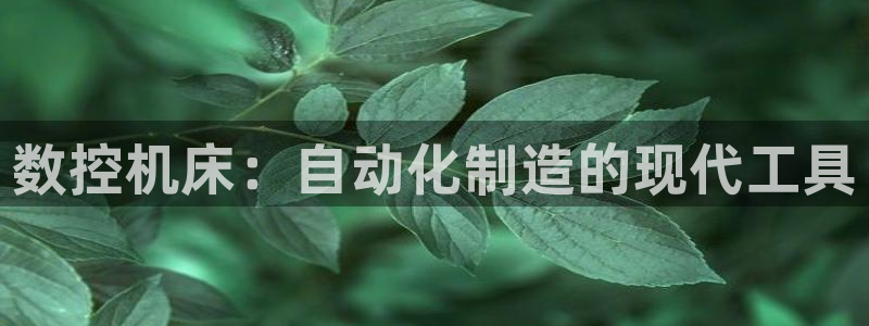 天辰娱乐股东