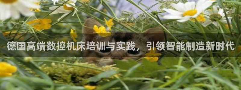 天辰娱乐娱乐平台