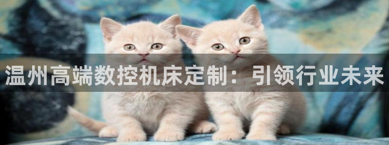 天辰娱乐 . 鱼刺