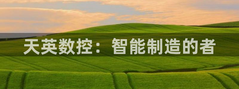 天辰娱乐平台安全吗