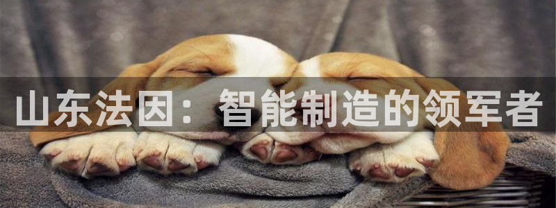 天辰娱乐海洋