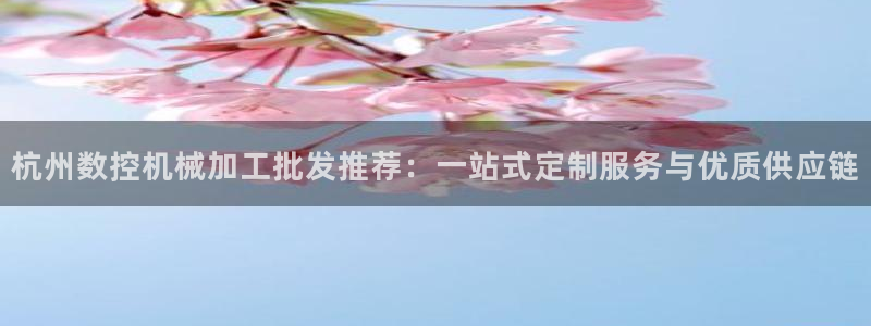 天辰娱乐指定：杭州数控机械加工批发推荐：一站式定制服务与优质供应链