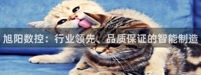 天辰天辰娱乐：旭阳数控：行业领先、品质保证的智能制造