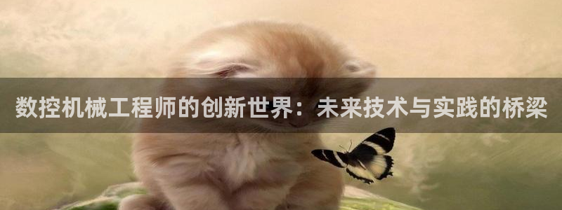 天辰娱乐728567：数控机械工程师的创新世界：未来技术与实践的桥梁