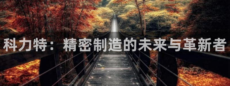 天辰娱乐会所