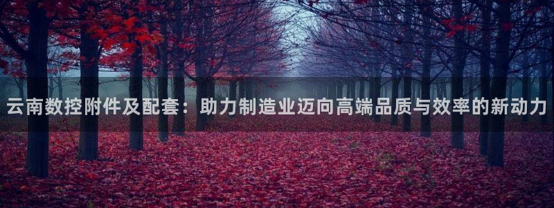 天辰娱乐所：云南数控附件及配套：助力制造业迈向高端品质与效率的新动力