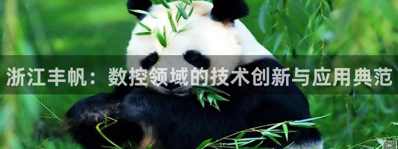 天辰娱乐下载链接：浙江丰帆：数控领域的技术创新与应用典范