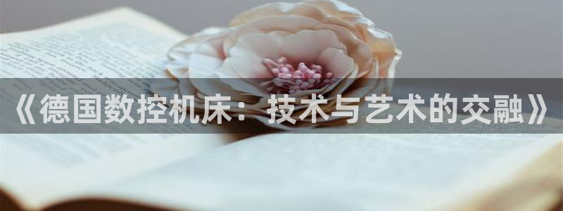 哈尔滨天辰娱乐：《德国数控机床：技术与艺术的交融》