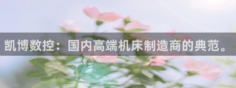 天辰娱乐总管