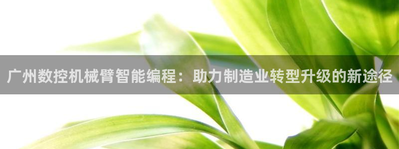 天辰娱乐 注册