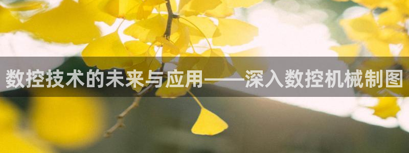 南充天辰娱乐
