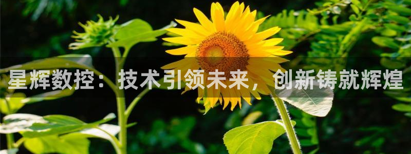 天辰娱乐下载链接：星辉数控：技术引领未来，创新铸就辉煌