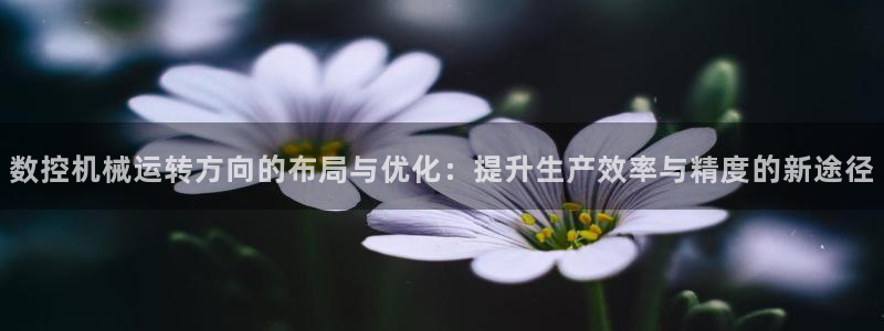 天辰娱乐视频