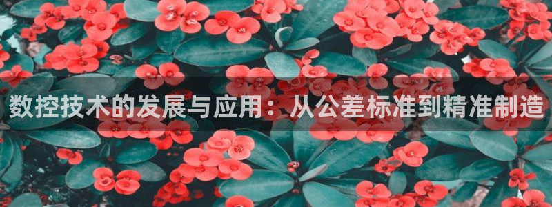 天辰2娱乐