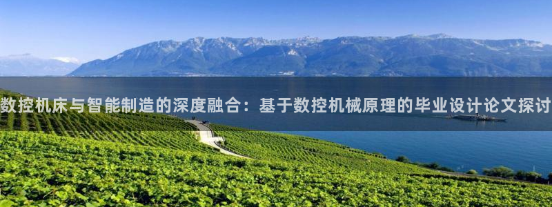 天辰娱乐股票