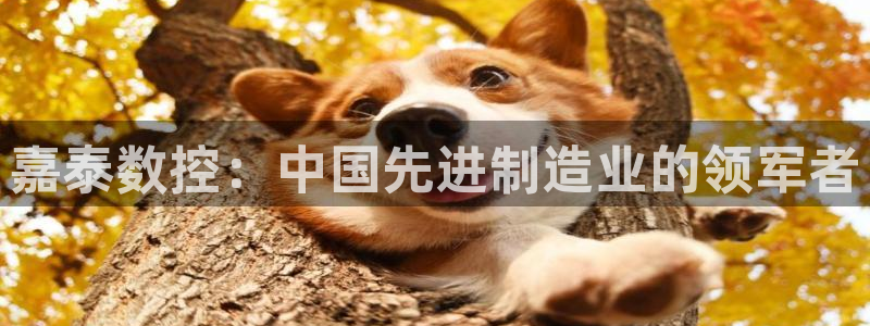 nba天辰娱乐