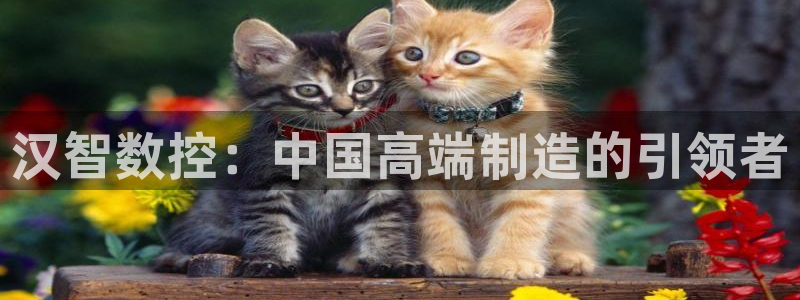 天辰娱乐简介