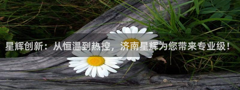 天辰娱乐鱼刺