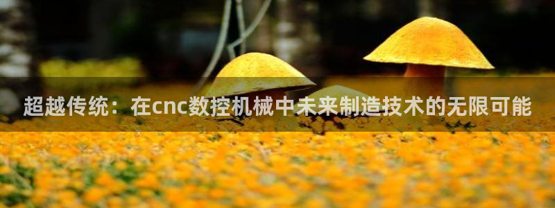 天辰宝宝娱乐：超越传统：在cnc数控机械中未来制造技术的无限可能
