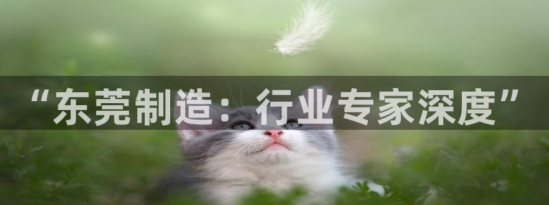 天辰娱乐平台安全吗