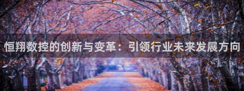 天辰娱乐app：恒翔数控的创新与变革：引领行业未来发展方向