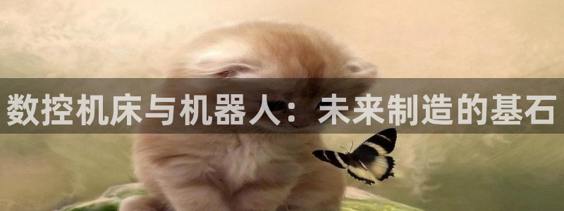 天辰娱乐-q：数控机床与机器人：未来制造的基石