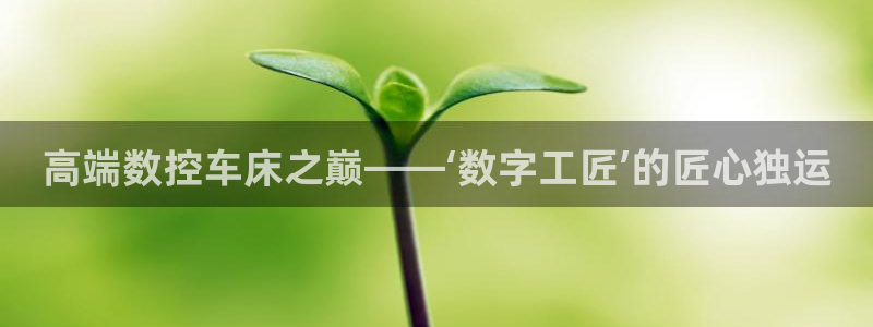 天辰娱乐小姐