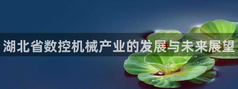 天辰娱乐视频