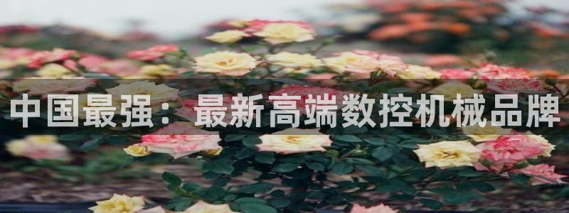 天辰娱乐平台安全吗