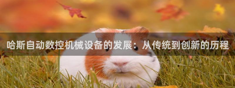 天辰娱乐线路