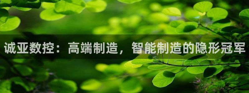 天辰娱乐公司