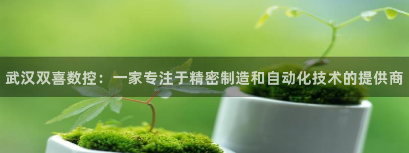 辰天娱乐
