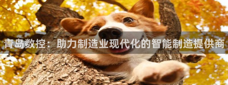 天辰 娱乐 注册