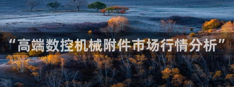 天辰娱乐上级