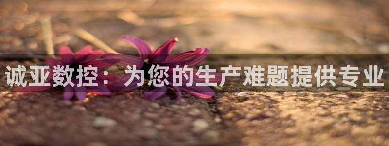 天辰娱乐1996