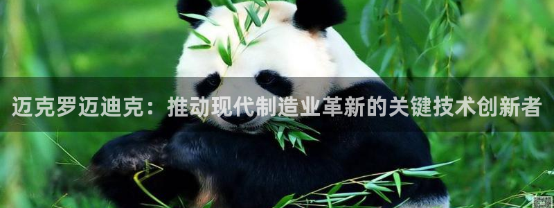 天辰娱乐_675138