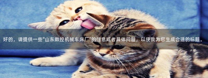 天辰娱乐怎么样