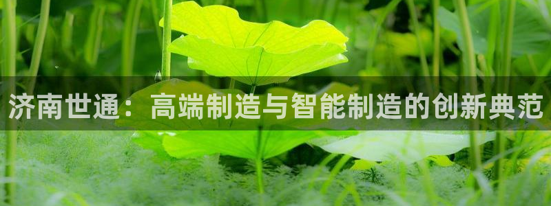 天辰娱乐内部