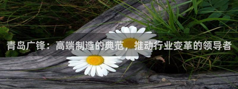 天辰娱乐网址娱乐游戏