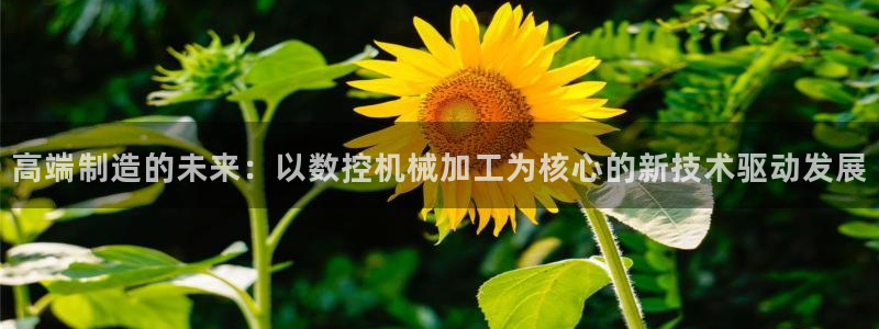 nba天辰娱乐