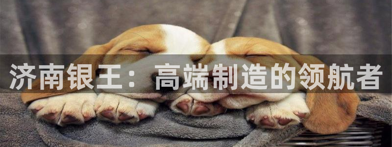 天辰娱乐 849852