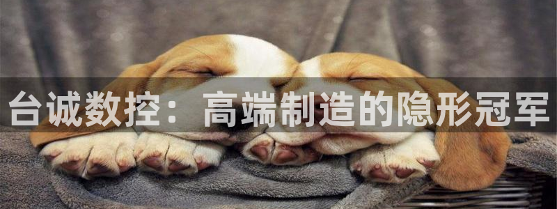 菲律宾天辰娱乐:台诚数控:高端制造的隐形冠军