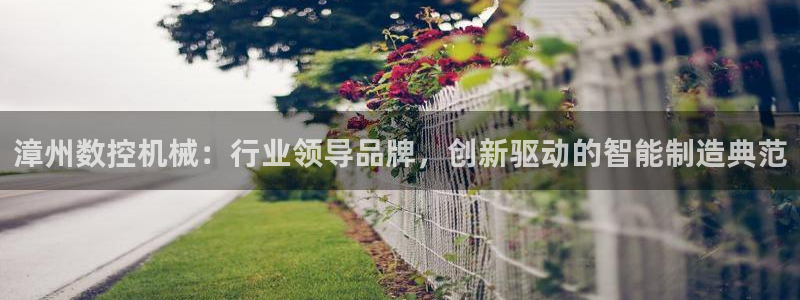 天辰娱乐_ 18113:漳州数控机械:行业领导品牌,创新驱动的智能制造典范