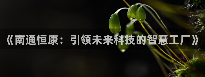 天辰娱乐入口
