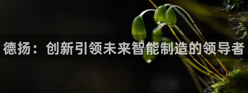 天辰娱乐信誉