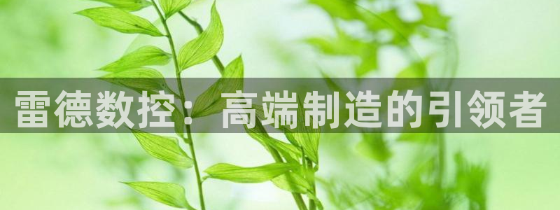 天辰娱乐入口