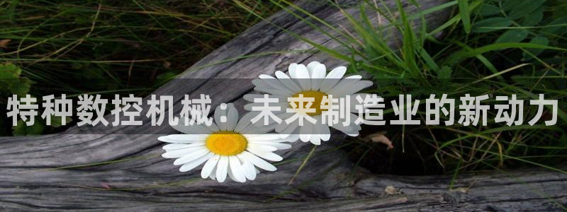天辰娱乐彩票:特种数控机械:未来制造业的新动力