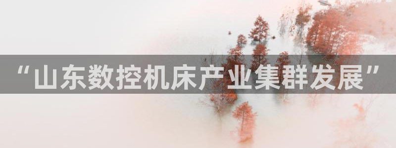 天辰宝娱乐：“山东数控机床产业集群发展”