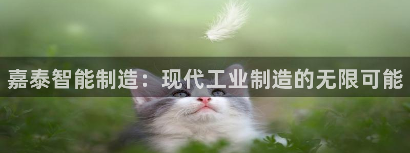 天辰娱乐娱乐:嘉泰智能制造:现代工业制造的无限可能