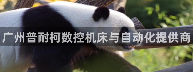 天辰娱乐服务:广州普耐柯数控机床与自动化提供商